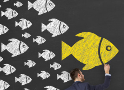 注册公司名称规定